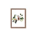 Picture of Hanging in the rainforest I _GroupedProduct_Rectangle_Portrait_Mini_ _GroupedProduct_Rectangle_Portrait_Framed_Matted_