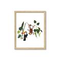Picture of Hanging in the rainforest I _GroupedProduct_Rectangle_Portrait_Mini_ _GroupedProduct_Rectangle_Portrait_Framed_Matted_