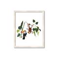 Picture of Hanging in the rainforest I _GroupedProduct_Rectangle_Portrait_Mini_ _GroupedProduct_Rectangle_Portrait_Framed_Matted_