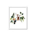 Picture of Hanging in the rainforest I _GroupedProduct_Rectangle_Portrait_Mini_ _GroupedProduct_Rectangle_Portrait_Framed_Matted_