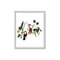 Picture of Hanging in the rainforest I _GroupedProduct_Rectangle_Portrait_Mini_ _GroupedProduct_Rectangle_Portrait_Framed_Matted_