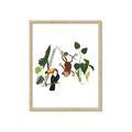 Picture of Hanging in the rainforest I _GroupedProduct_Rectangle_Portrait_Mini_ _GroupedProduct_Rectangle_Portrait_Framed_Matted_