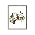 Picture of Hanging in the rainforest I _GroupedProduct_Rectangle_Portrait_Mini_ _GroupedProduct_Rectangle_Portrait_Framed_Matted_