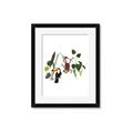Picture of Hanging in the rainforest I _GroupedProduct_Rectangle_Portrait_Mini_ _GroupedProduct_Rectangle_Portrait_Framed_Matted_