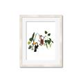 Picture of Hanging in the rainforest I _GroupedProduct_Rectangle_Portrait_Mini_ _GroupedProduct_Rectangle_Portrait_Framed_Matted_