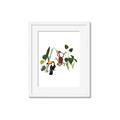 Picture of Hanging in the rainforest I _GroupedProduct_Rectangle_Portrait_Mini_ _GroupedProduct_Rectangle_Portrait_Framed_Matted_