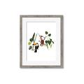 Picture of Hanging in the rainforest I _GroupedProduct_Rectangle_Portrait_Mini_ _GroupedProduct_Rectangle_Portrait_Framed_Matted_