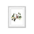 Picture of Hanging in the rainforest I _GroupedProduct_Rectangle_Portrait_Mini_ _GroupedProduct_Rectangle_Portrait_Framed_Matted_