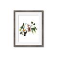 Picture of Hanging in the rainforest I _GroupedProduct_Rectangle_Portrait_Mini_ _GroupedProduct_Rectangle_Portrait_Framed_Matted_