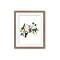 Picture of Hanging in the rainforest I _GroupedProduct_Rectangle_Portrait_Mini_ _GroupedProduct_Rectangle_Portrait_Framed_Matted_