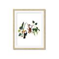 Picture of Hanging in the rainforest I _GroupedProduct_Rectangle_Portrait_Mini_ _GroupedProduct_Rectangle_Portrait_Framed_Matted_