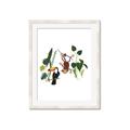 Picture of Hanging in the rainforest I _GroupedProduct_Rectangle_Portrait_Mini_ _GroupedProduct_Rectangle_Portrait_Framed_Matted_