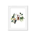 Picture of Hanging in the rainforest I _GroupedProduct_Rectangle_Portrait_Mini_ _GroupedProduct_Rectangle_Portrait_Framed_Matted_