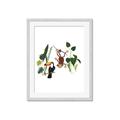 Picture of Hanging in the rainforest I _GroupedProduct_Rectangle_Portrait_Mini_ _GroupedProduct_Rectangle_Portrait_Framed_Matted_