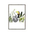 Picture of Hanging in the rainforest II _GroupedProduct_Rectangle_Portrait_Mini_ _GroupedProduct_Rectangle_Portrait_Framed_Matted_