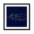 Picture of Airplane Navy II _GroupedProduct_Square_Mini_ _GroupedProduct_Square_Framed_Matted_