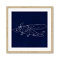 Picture of Airplane Navy II _GroupedProduct_Square_Mini_ _GroupedProduct_Square_Framed_Matted_
