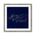 Picture of Airplane Navy II _GroupedProduct_Square_Mini_ _GroupedProduct_Square_Framed_Matted_
