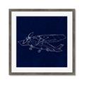 Picture of Airplane Navy II _GroupedProduct_Square_Mini_ _GroupedProduct_Square_Framed_Matted_