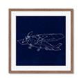 Picture of Airplane Navy II _GroupedProduct_Square_Mini_ _GroupedProduct_Square_Framed_Matted_