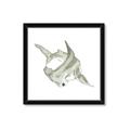 Picture of Hammerhead  _GroupedProduct_Square_Mini_ _GroupedProduct_Square_Framed_Matted_