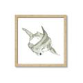 Picture of Hammerhead  _GroupedProduct_Square_Mini_ _GroupedProduct_Square_Framed_Matted_