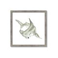 Picture of Hammerhead  _GroupedProduct_Square_Mini_ _GroupedProduct_Square_Framed_Matted_