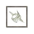 Picture of Hammerhead  _GroupedProduct_Square_Mini_ _GroupedProduct_Square_Framed_Matted_