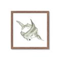 Picture of Hammerhead  _GroupedProduct_Square_Mini_ _GroupedProduct_Square_Framed_Matted_