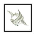 Picture of Hammerhead  _GroupedProduct_Square_Mini_ _GroupedProduct_Square_Framed_Matted_