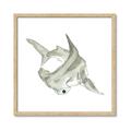 Picture of Hammerhead  _GroupedProduct_Square_Mini_ _GroupedProduct_Square_Framed_Matted_