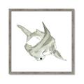 Picture of Hammerhead  _GroupedProduct_Square_Mini_ _GroupedProduct_Square_Framed_Matted_