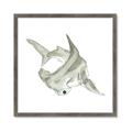 Picture of Hammerhead  _GroupedProduct_Square_Mini_ _GroupedProduct_Square_Framed_Matted_