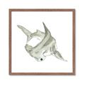 Picture of Hammerhead  _GroupedProduct_Square_Mini_ _GroupedProduct_Square_Framed_Matted_