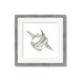 Picture of Hammerhead  _GroupedProduct_Square_Mini_ _GroupedProduct_Square_Framed_Matted_