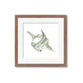Picture of Hammerhead  _GroupedProduct_Square_Mini_ _GroupedProduct_Square_Framed_Matted_
