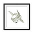 Picture of Hammerhead  _GroupedProduct_Square_Mini_ _GroupedProduct_Square_Framed_Matted_