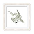 Picture of Hammerhead  _GroupedProduct_Square_Mini_ _GroupedProduct_Square_Framed_Matted_