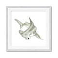 Picture of Hammerhead  _GroupedProduct_Square_Mini_ _GroupedProduct_Square_Framed_Matted_