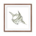 Picture of Hammerhead  _GroupedProduct_Square_Mini_ _GroupedProduct_Square_Framed_Matted_