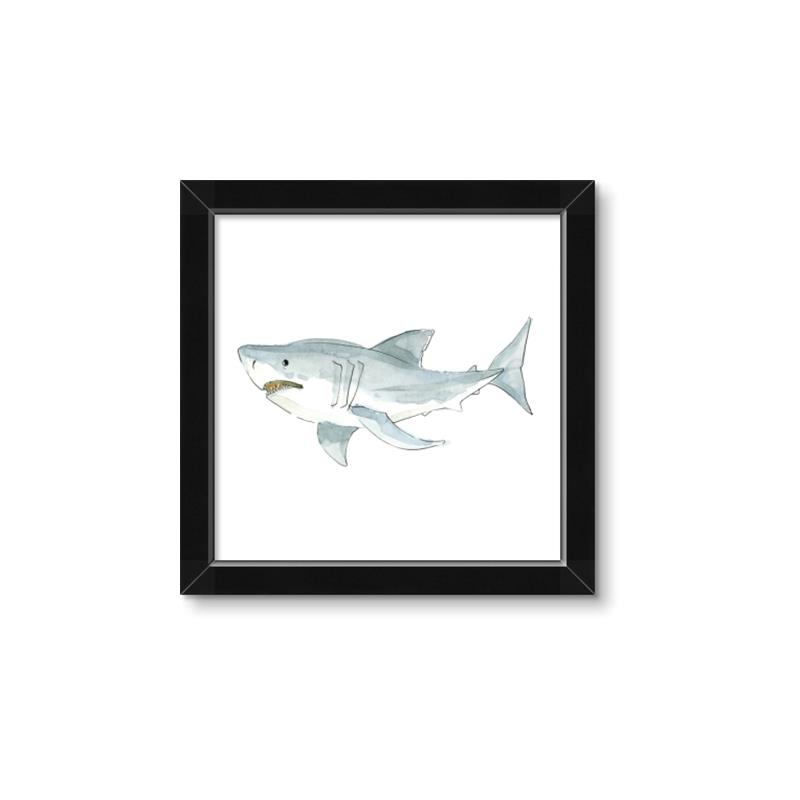 Picture of Great White _GroupedProduct_Square_Mini_ _GroupedProduct_Square_Framed_Matted_