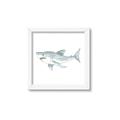 Picture of Great White _GroupedProduct_Square_Mini_ _GroupedProduct_Square_Framed_Matted_