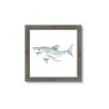 Picture of Great White _GroupedProduct_Square_Mini_ _GroupedProduct_Square_Framed_Matted_