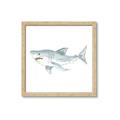 Picture of Great White _GroupedProduct_Square_Mini_ _GroupedProduct_Square_Framed_Matted_