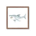 Picture of Great White _GroupedProduct_Square_Mini_ _GroupedProduct_Square_Framed_Matted_