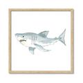 Picture of Great White _GroupedProduct_Square_Mini_ _GroupedProduct_Square_Framed_Matted_