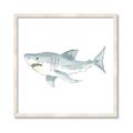 Picture of Great White _GroupedProduct_Square_Mini_ _GroupedProduct_Square_Framed_Matted_