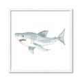 Picture of Great White _GroupedProduct_Square_Mini_ _GroupedProduct_Square_Framed_Matted_