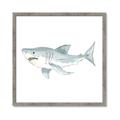 Picture of Great White _GroupedProduct_Square_Mini_ _GroupedProduct_Square_Framed_Matted_