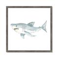 Picture of Great White _GroupedProduct_Square_Mini_ _GroupedProduct_Square_Framed_Matted_
